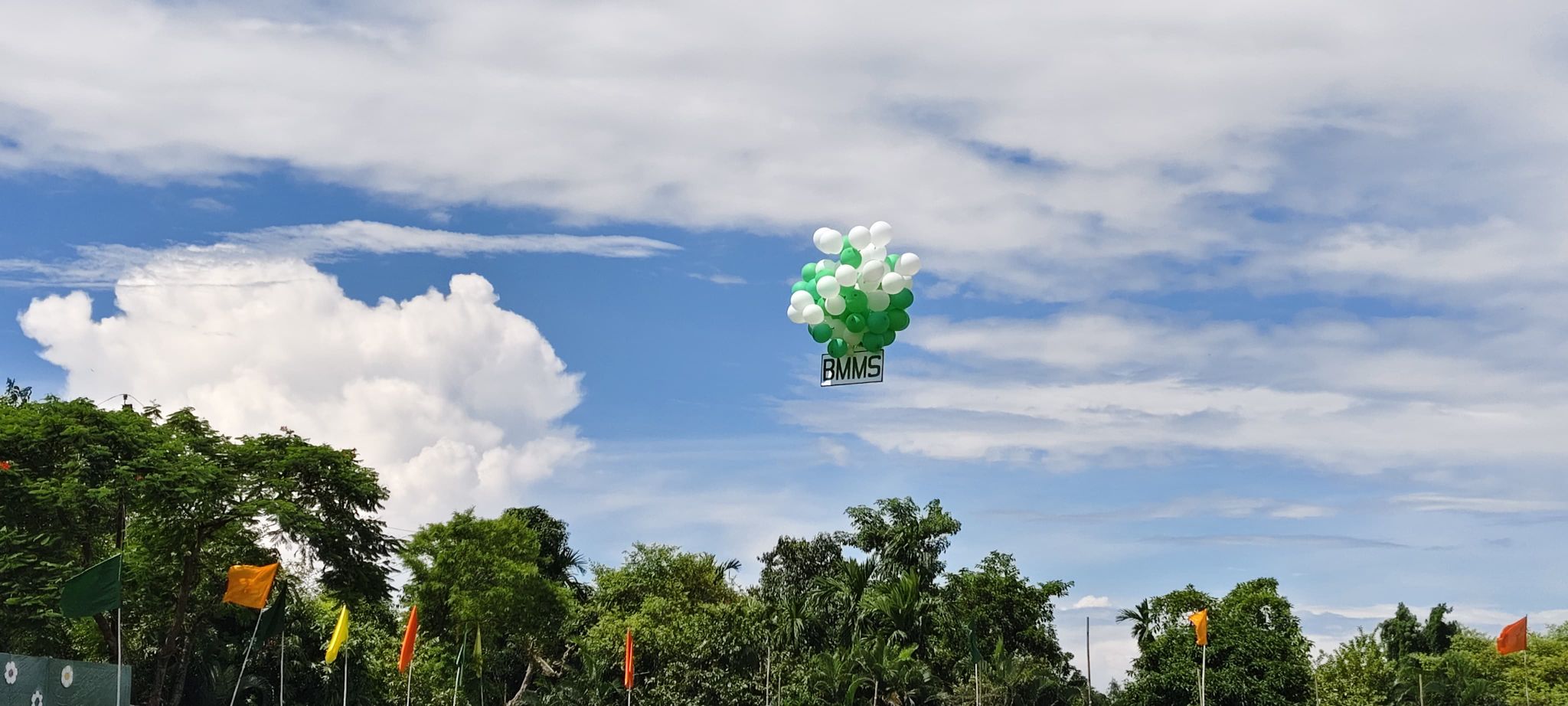 BMMS Campus View